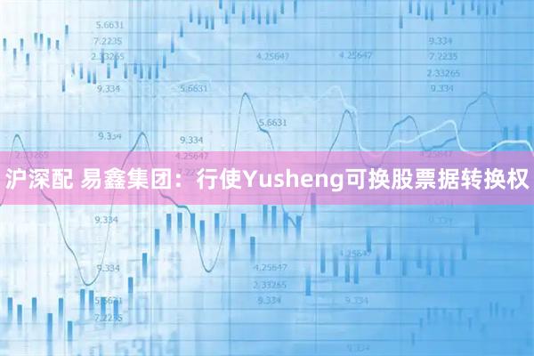 沪深配 易鑫集团：行使Yusheng可换股票据转换权