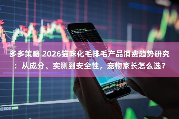 多多策略 2026猫咪化毛排毛产品消费趋势研究：从成分、实测到安全性，宠物家长怎么选？