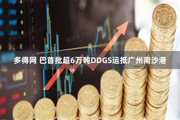 多得网 巴首批超6万吨DDGS运抵广州南沙港