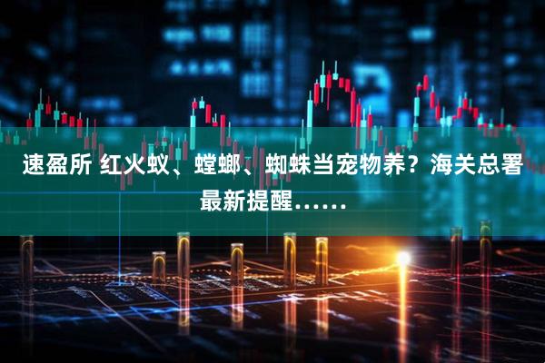 速盈所 红火蚁、螳螂、蜘蛛当宠物养？海关总署最新提醒……