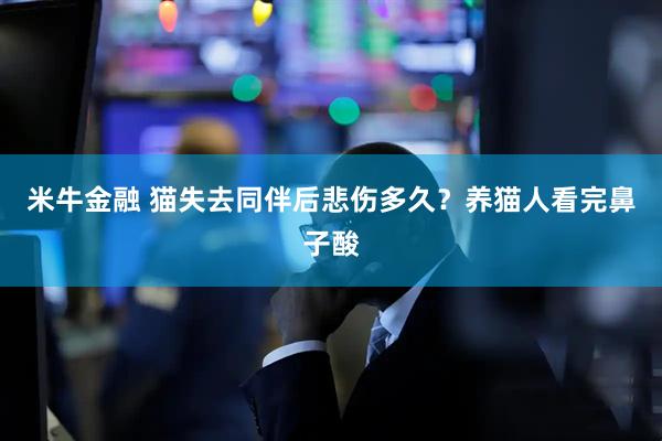 米牛金融 猫失去同伴后悲伤多久？养猫人看完鼻子酸