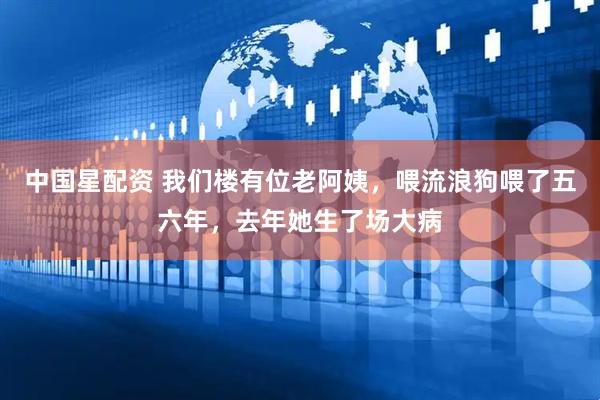 中国星配资 我们楼有位老阿姨，喂流浪狗喂了五六年，去年她生了场大病