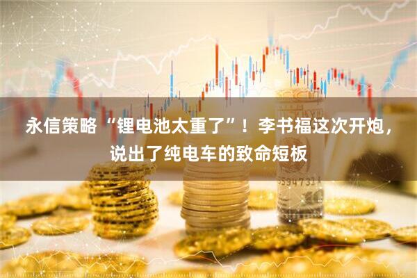 永信策略 “锂电池太重了”！李书福这次开炮，说出了纯电车的致命短板
