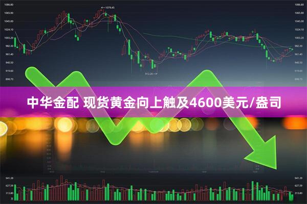 中华金配 现货黄金向上触及4600美元/盎司