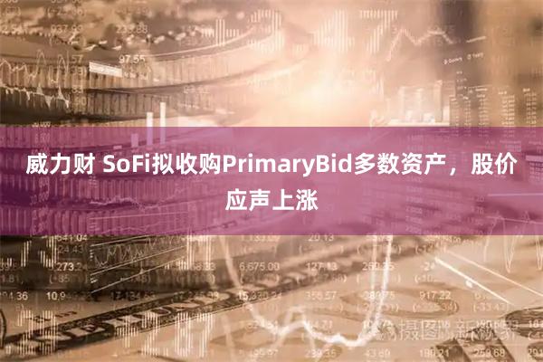 威力财 SoFi拟收购PrimaryBid多数资产，股价应声上涨