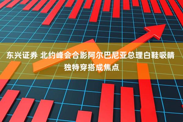 东兴证券 北约峰会合影阿尔巴尼亚总理白鞋吸睛 独特穿搭成焦点