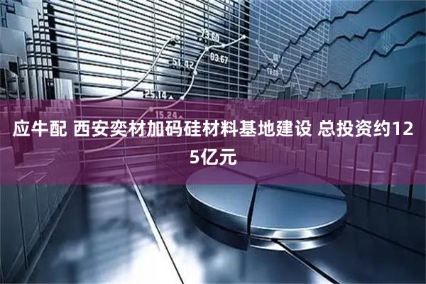 应牛配 西安奕材加码硅材料基地建设 总投资约125亿元