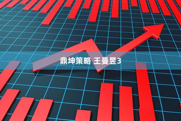 鼎坤策略 王曼昱3