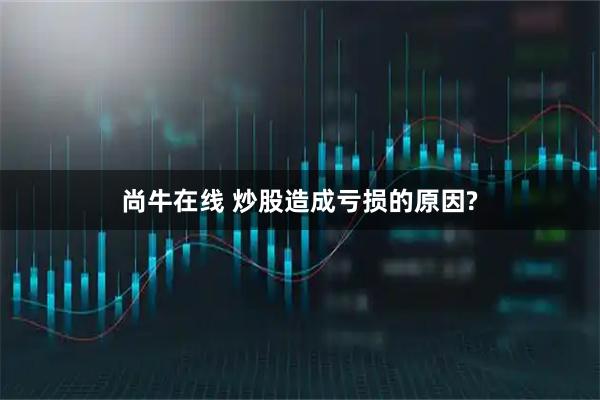 尚牛在线 炒股造成亏损的原因?