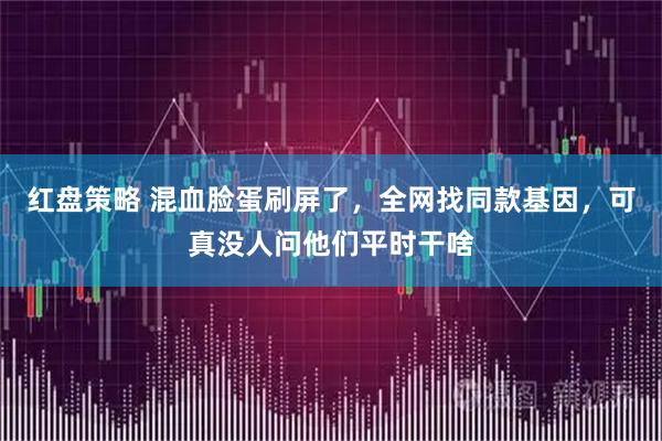 红盘策略 混血脸蛋刷屏了，全网找同款基因，可真没人问他们平时干啥