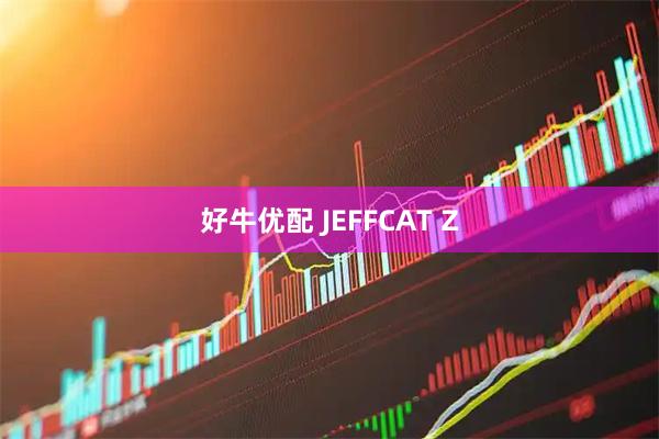 好牛优配 JEFFCAT Z