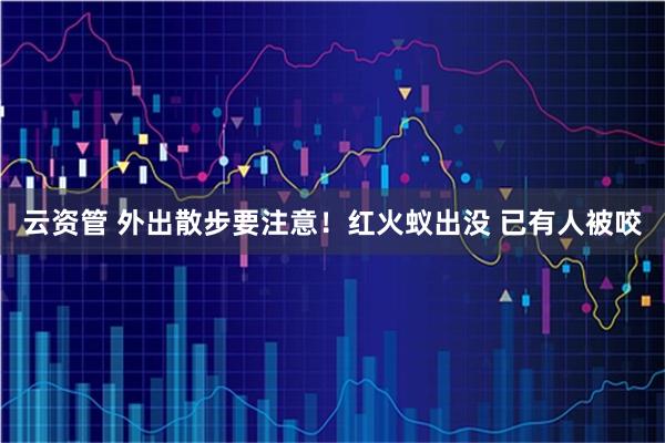 云资管 外出散步要注意！红火蚁出没 已有人被咬