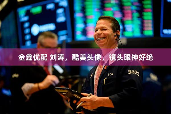 金鑫优配 刘涛，酷美头像，镜头眼神好绝