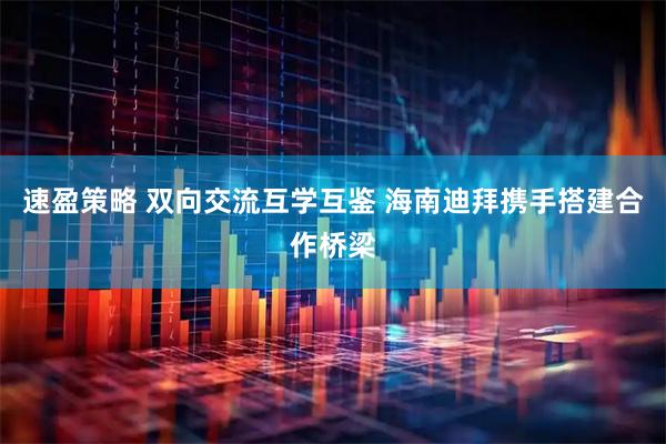 速盈策略 双向交流互学互鉴 海南迪拜携手搭建合作桥梁
