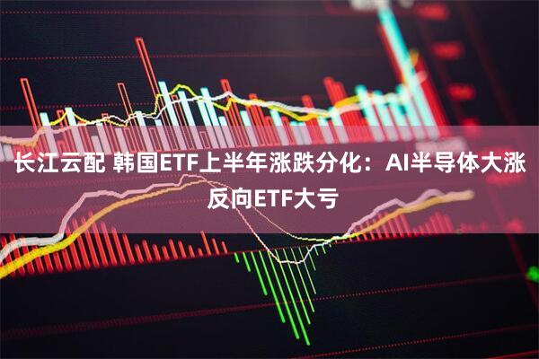 长江云配 韩国ETF上半年涨跌分化：AI半导体大涨 反向ETF大亏