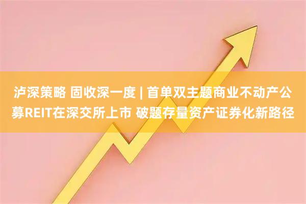 泸深策略 固收深一度 | 首单双主题商业不动产公募REIT在深交所上市 破题存量资产证券化新路径